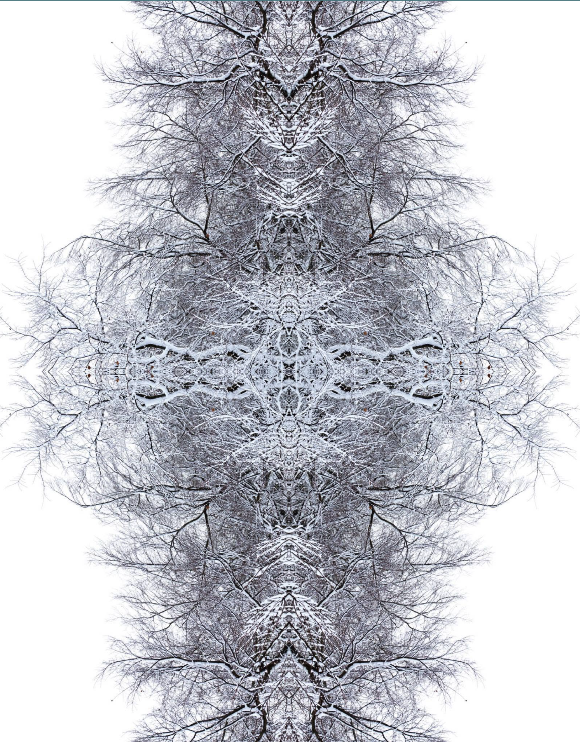 Photograph 34